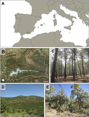 A Step-by-Step Guide to Initialize and Calibrate Landscape Models: A Case Study in the Mediterranean Mountains